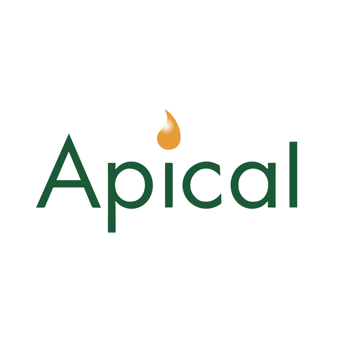 Apical (Malaysia) Sdn Bhd